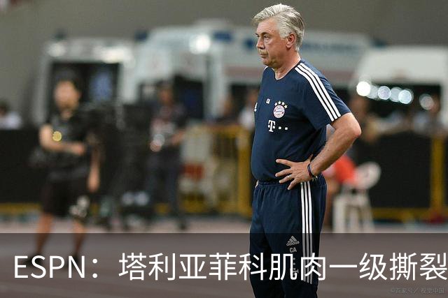 ESPN：塔利亚菲科肌肉一级撕裂，至少缺席世界杯前两场小组赛